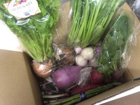 【お試し！】旬野菜！すずなり採れたて野菜セット( 簡単レシピ付き )