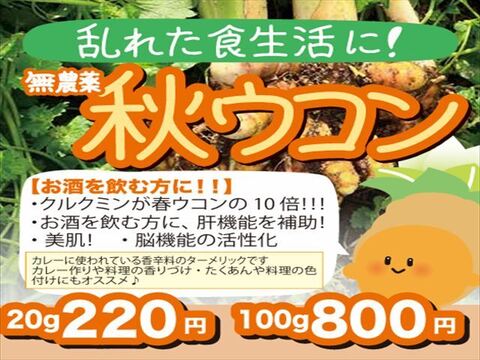 乱れた食生活に！ 秋ウコン100g(栽培期間中農薬不使用)