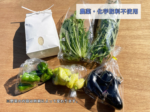 【農薬・化学肥料不使用】ひのひかり新米2kg、野菜セット