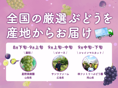 【食べチョク旬の食べ比べ便】ピオーネ