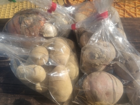 ジャガイモ＆玉ねぎ　農薬化学肥料不使用