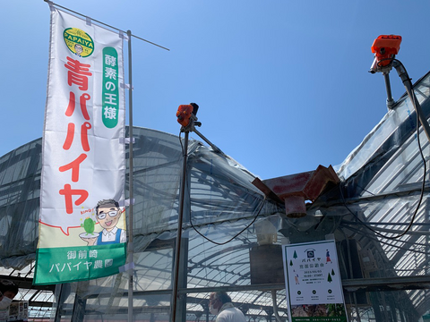 青パパイヤをカレーで美味しく！『波乗りパパイヤカレー』（１人前✖️１０個セット）
