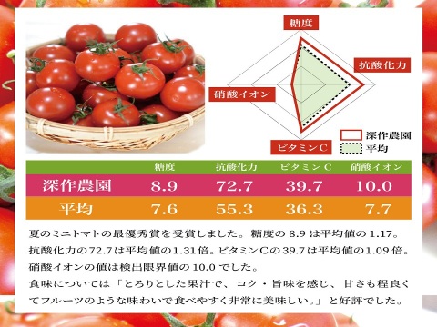 粒が大きく甘いフルーツトマト!ミディトマト（1.5kg箱入り）