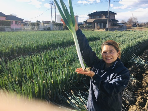 大容量！！深谷ネギ！泥付、使いやすいサイズ色々！「甘ーい蜜入り甘露ねぎ」 10kg