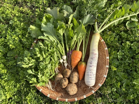 【自然栽培】会津伝統野菜含む5~8品目旬のお野菜セットMサイズ