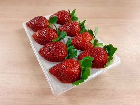 年越し・迎春予約用『とちあいか』フレーズのこだわりいちご