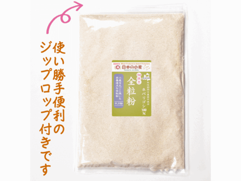 【栽培期間中農薬不散布】全粒粉 細挽き 400g 青森県産単一品100％使用 日本の小麦 「ネバリゴシ」メール便