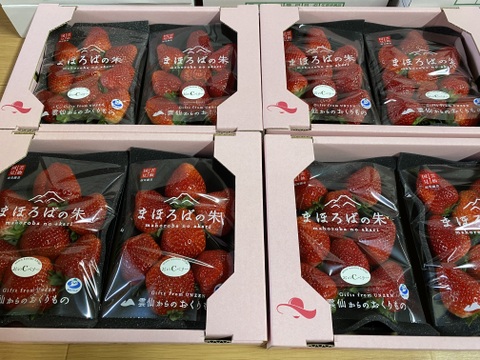 朝摘みいちご🍓まほろばの朱(あかり) 極上品おいCベリー300g×2パック【数量限定】
