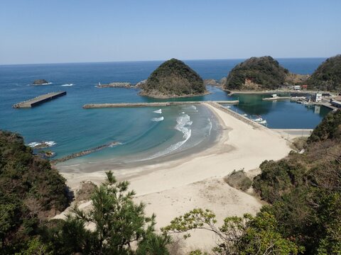 【希少海藻】ネバネバ！シャキシャキ！！『クロモ』生５００ｇ