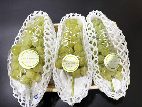 独特の甘い香り！岡山県産ヒムロットシードレス（約1kg、3～4房）