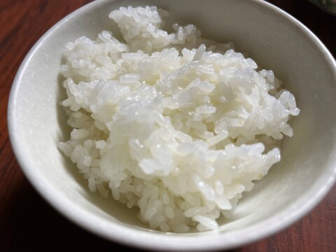 令和５年産　特別栽培米ゆうだい21　精白米5kg