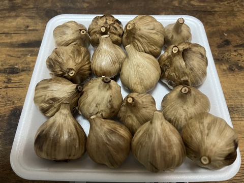 36 自然栽培　黒にんにく 人気　サイズいろいろたっぷり16個　令和4年度新物　食べやすくて美味しい