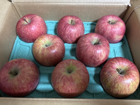 【夜市限定】大玉から順に発送‼️とことん味にこだわりました💪😊🍎青森県産葉取らず完熟ふじ3キロ。
