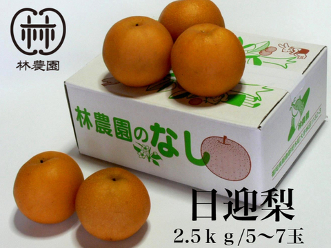 冬の梨・日迎梨（林農園オリジナル品種）　約2.5kg(6〜4玉)【熨斗対応】【冬ギフト】