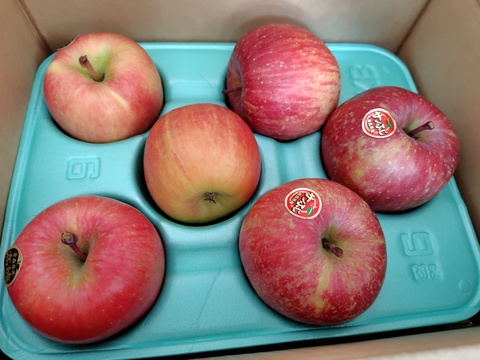 權之丞の葉取らずミックス！　🏆2025年りんごGP金賞受賞🎊葉取らず高徳&葉取らずサンふじ　家庭用2kg【5〜10個入り】