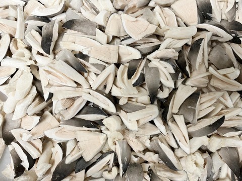 ちょっと開いたものをひと口サイズにカットしたふくろ茸（500g）