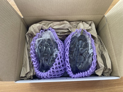 濃厚な甘さ！朝どれ直送＜種なし巨峰 約700g＞たべきりサイズ（350g×2房）