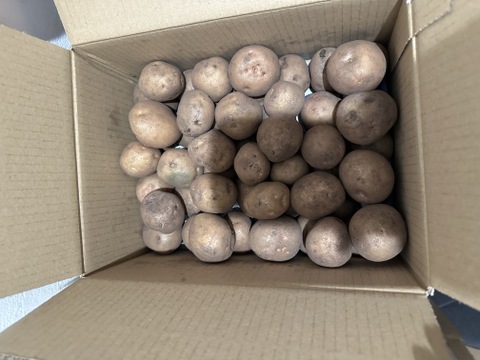 皮ごとでも食べられる！訳あり品【農薬・化学肥料不使用】MOA自然農法で育ったミニじゃがいも 2kg