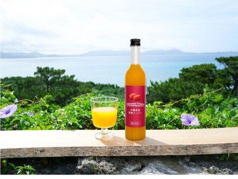 贅熟 沖縄県産マンゴー果汁飲料(50%)