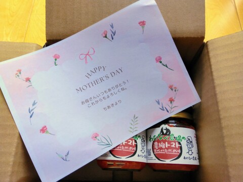 【母の日ギフト】自然栽培で育てたトマト使用🍅濃縮トマト５個