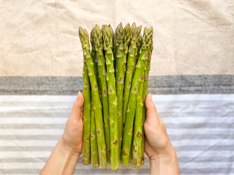 【🏆春一番🏆】常識を覆せ👑 
M〜L 2kg 数量限定100g増量中🎉 
感動のアスパラ