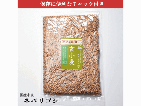 【栽培期間中農薬不散布】玄小麦 40kg 5kg×8 青森県産単一品100％使用 日本の小麦 「ネバリゴシ」