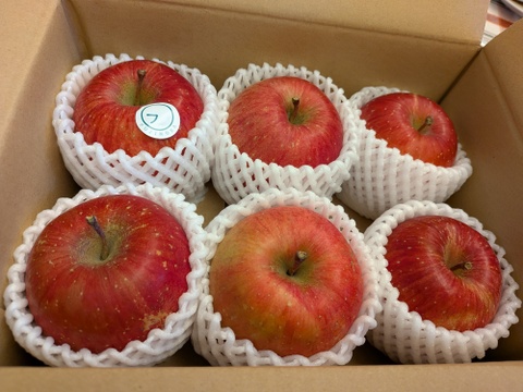 【ふじ】りんごの王様【家庭用1.5kg】