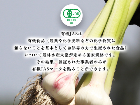 【有機バラにんにく300g入】【宮崎県産】 令和６年度産新有機にんにく王