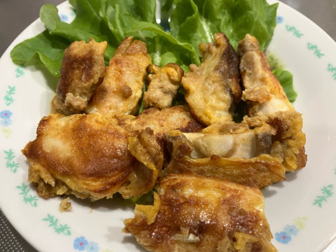 石井食品おまけ付　きのこの甘み引き立つエリンギ・椎茸セット