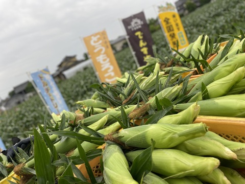 プレミアム味来