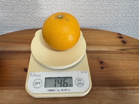 香り華やか　はっさく　箱込み５kg 2級品　家庭用　無選別　和歌山県産