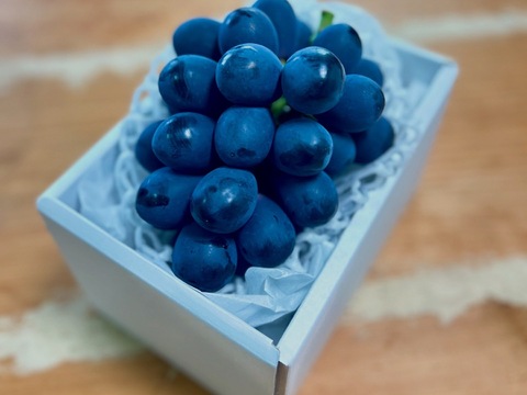 【数量限定】ブラックシャイン！希少品種　富士の輝１房