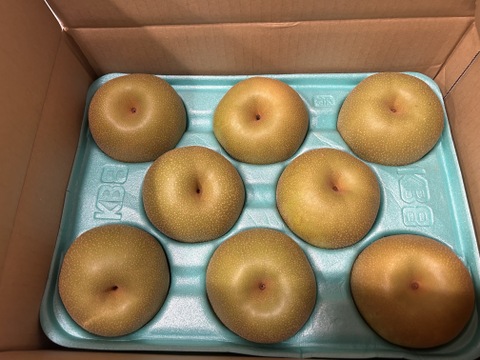梨 幸水 良品3kg‼️長野県産
