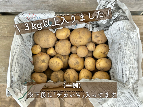 長野県産！　新じゃがいも　キタアカリ　24kg B級品　サイズ混同　送料込！ 北海道 平岡農場 キタアカリ (SML混合) 10kg きたあかり