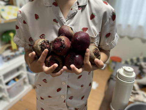 【朝のスムージーと夜のスープに】ビーツ・ソーレ約1.5kg｜栽培期間中 農薬・化学肥料不使用