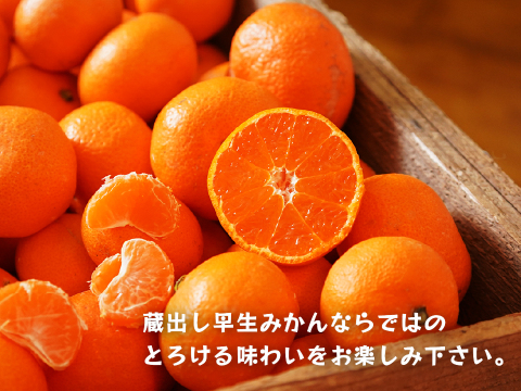 蔵出しみかん早生5kg｜和歌山県海南市下津町の特産品、蔵出しみかんの希少な早生品種
