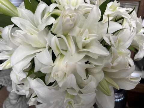 【簡易包装】ヌナブト3-4輪3本束 ❤昨年の名前を出せないあの子が遂にデビュー❤こちらの商品はおリボンなどはついておりません<(_ _)>