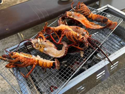 五島列島産 伊勢海老 1kg