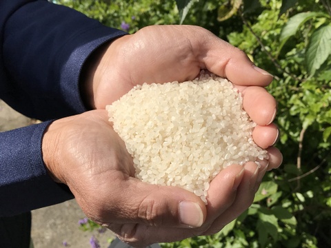 令和3年産コシヒカリ特別栽培米5㎏
栄養に気遣いながら美味しい8分づき
