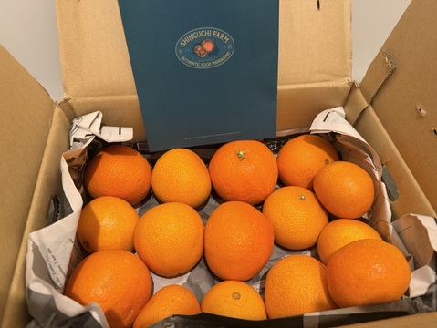 【訳ありだけど美味しさそのまま】まどんな 3kg 【ゼリーのようなプルプル食感】