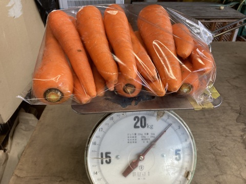 有機人参（訳あり品）　10kg農薬・化学肥料不使用！小分け袋付！【有機JAS認証】