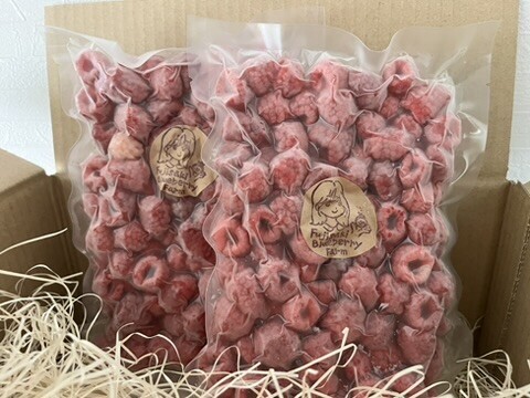 甘酸っぱくて可愛い♪採れたてラズベリー｜収穫当日に冷凍 (400g)