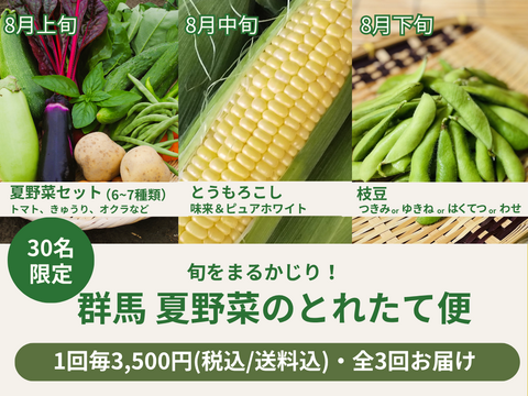 【限定30セット】旬をまるかじり！群馬 夏野菜のとれたて便（食べチョク公式）