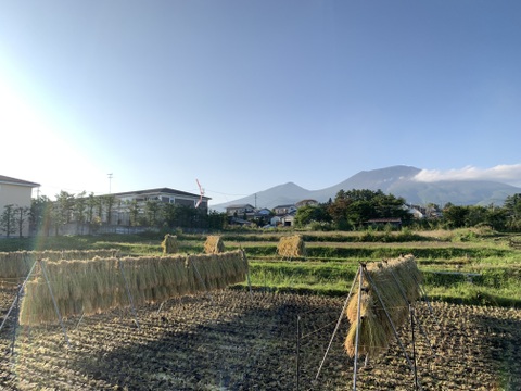 長野県軽井沢町産 高原栽培米 天然乾燥米 つきあかり 令和4年 ２kg(精米)