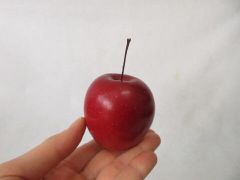 【超希少品種】果肉まで赤～いりんご『栄紅』超かわいいサイズちょっとB品18個(約2kg)