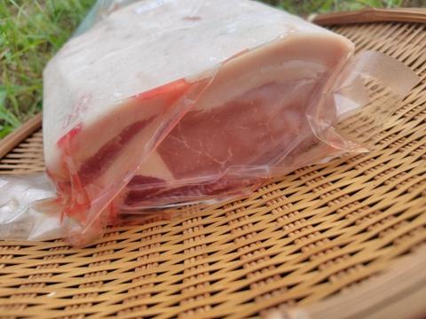自家配合飼料と放牧で育った　年間４頭出荷の個人生産豚肉　ロースブロック　500g（3頭目）【福袋】【冬ギフト】