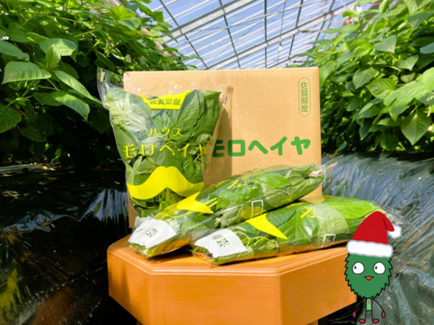 【投稿CP商品】（100g×10袋×2箱）冬こそしっかり栄養補給！冬穫れモロヘイヤ　2箱