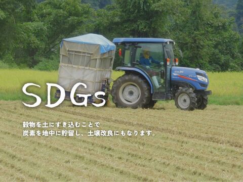 【農家直販！】令和7年産 魚沼産こしひかり玄米30kg