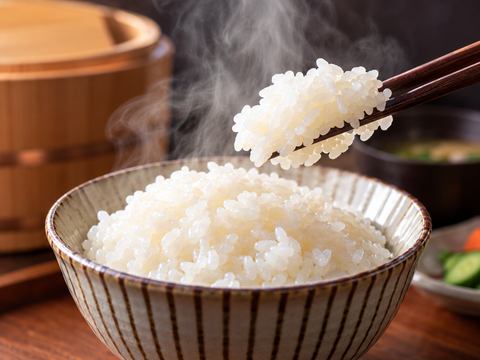 令和8年産】新米10kg！信州松本産コシヒカリ｜特別栽培米・白米：長野