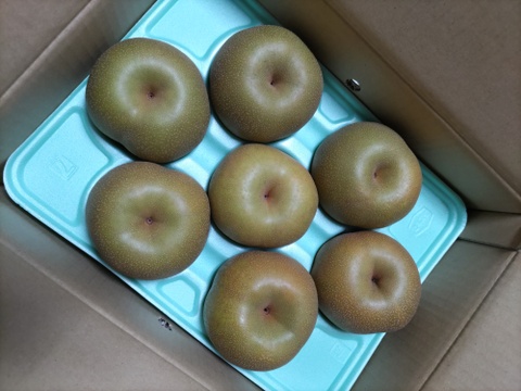 シャキっと！爽やかでみずみずしい幸水梨（3kg）ちょっと訳あり